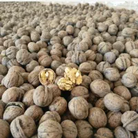 گردو پوست کاغذی درجه یک