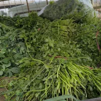 سبزی پخته خوزستان