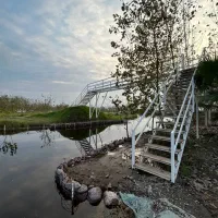 نیازمند راهنمایی