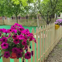 پانسیون سگ ، نگهداری سگ|خدمات پیشه و مهارت|هشتگرد, شهرک صنعتی هشتگرد|دیوار