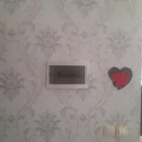 فروش کاغذ دیواری ونصب کاغذ دیواری بامهارت|خدمات پیشه و مهارت|سهند, |دیوار