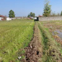 زمین کشاورزی به متراژ ۲۰۰۰ متر|فروش دفتر صنعتی، کشاورزی، تجاری|خمام, |دیوار