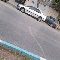 پارس. تا دندان مصلح