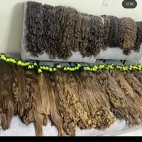 خریداراصلی مو خرید موطبیعی وفروش درتهران وکرج