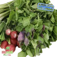 سبزی دست سوزک زابل