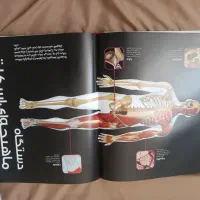 کتاب دایرةالمعارف بدن انسان|کتاب و مجله آموزشی|قم, پردیسان|دیوار