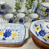 ظرف گل پنبه