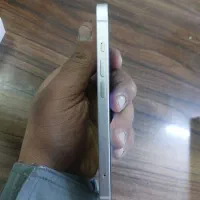 ایفون ۱۳ نرمال|موبایل|تربت جام, میان جام|دیوار