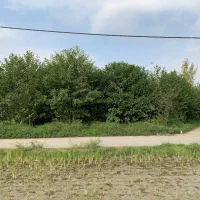 فروش زمین مسکونی|فروش زمین و ملک کلنگی|شفت, |دیوار