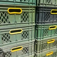 فروش فوری سبد لبنیاتی در حد نو