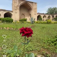 سرویس مدرسه هستم