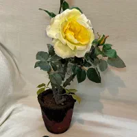 گل و گلدان رز مصنوعی خارجی وارداتی (توضیحات)