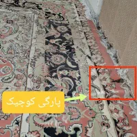 فرش ۵۰۰ شانه مهستان|فرش|گنبد کاووس, |دیوار