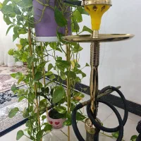 قلیان|کلکسیون و سرگرمی|ازنا, |دیوار