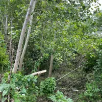 زمین مسکونی