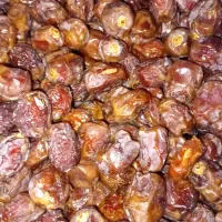 خرمای مرداسنگ|خوردنی و آشامیدنی|فاریاب, |دیوار