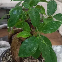 سالن زیبایی در بهترین منطقه مفتح