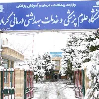 تحقیقات پروژه.پایان نامه ترجمه سمینارنگارش مقاله|خدمات رایانه‌ای و موبایل|کرمان, |دیوار