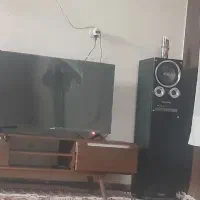 اسپیکر. میکروب اصلی