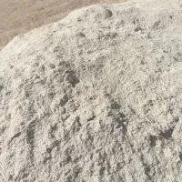 کاه گندم