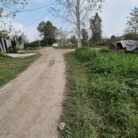 زمین جنگلی با نامه بنیاد مسکن|فروش زمین و ملک کلنگی|رشت, بازار|دیوار