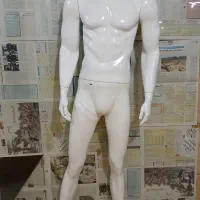 مانکن مردانه