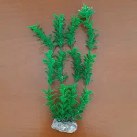 آکواریوم و ماهی و لوازم آکواریوم