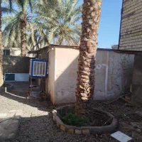 زمین 150متر|فروش خانه و ویلا|بم, |دیوار