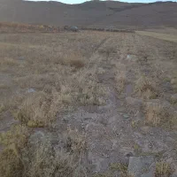 زمین باغی معاوظع هم دارم|فروش خانه و ویلا|قروه, |دیوار