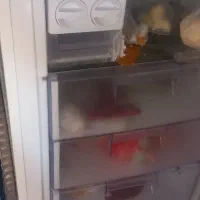 یخچال|یخچال و فریزر|نورآباد, |دیوار