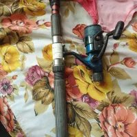 لنسر ماهیگیری|ماهیگیری|گرگان, |دیوار