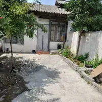 ویلایی-به-قیمت-بهترین-آب-هوا-سرسبز