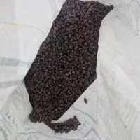 کشمش|خوردنی و آشامیدنی|بهارستان, |دیوار