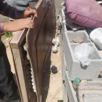 کفتر|پرنده|فلارد, |دیوار
