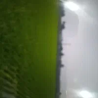 زمین کشاورزی برنج کاری