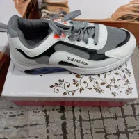 کفش|کیف، کفش، کمربند|شاهینشهر, خانه کارگر|دیوار