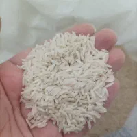 برنج هاشمی