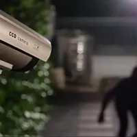 خدمات تشخیص چهره ، دوربین ، سرور ،ویندوز وکامپیوتر|خدمات رایانه‌ای و موبایل|مشهد, استاد یوسفی|دیوار