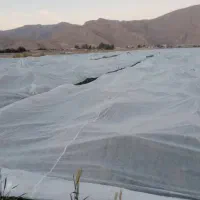 فوم - کاورضدسرمازدگگی|گل و گیاه طبیعی|جیرفت, |دیوار