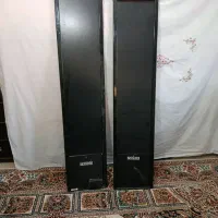 دزدگیر لباس گیت فروشگاه دو آنتن و تگ