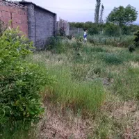 زمین-کشاورزی