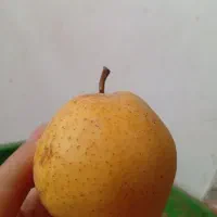 گلابی|خوردنی و آشامیدنی|گلبهار, نوبهار|دیوار