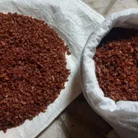 کله افتابی|خوردنی و آشامیدنی|بردسکن, |دیوار