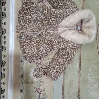 پالتو پلنگی