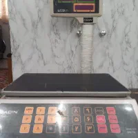 ترازوی رادین ۴۰ کیلویی