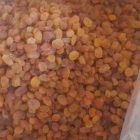 کشمش پلویی بادمجون شور عناب ادویه عرقیات سبزی