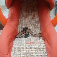 کریر|کالسکه و لوازم جانبی|قم, شهدا|دیوار