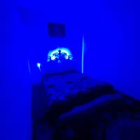 اجاره سوییت در طلاب|اجارهٔ کوتاهمدت آپارتمان و سوئیت|مشهد, حسینآباد|دیوار