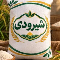 برنج شیرودی درجه یک