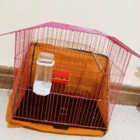 2عددقفس پرنده